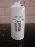 Limerick Steel drink bottle